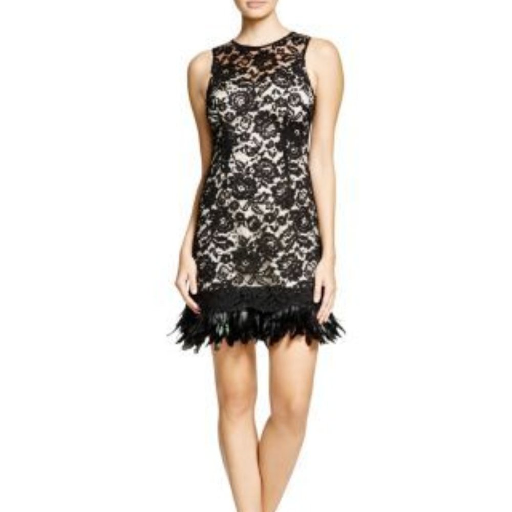 Aqua Black Lace dress with feather details